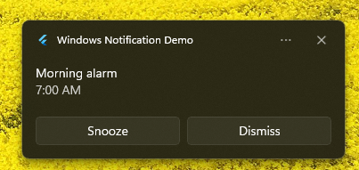 Alarm Windows toast notification